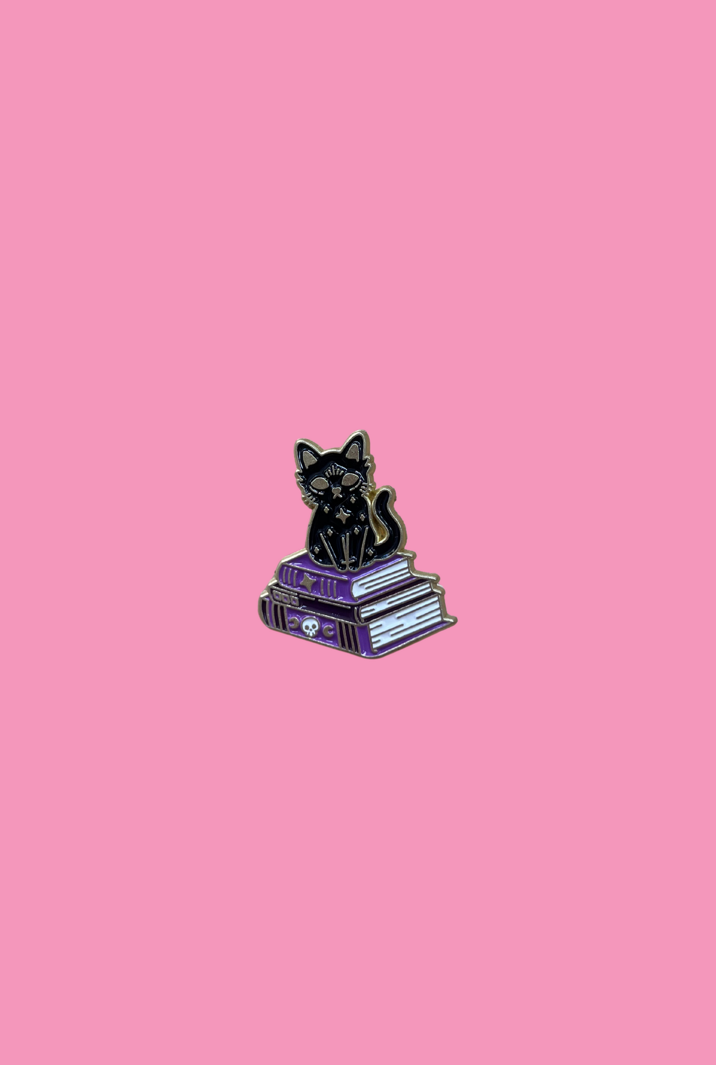 Pin Gato sobre libros