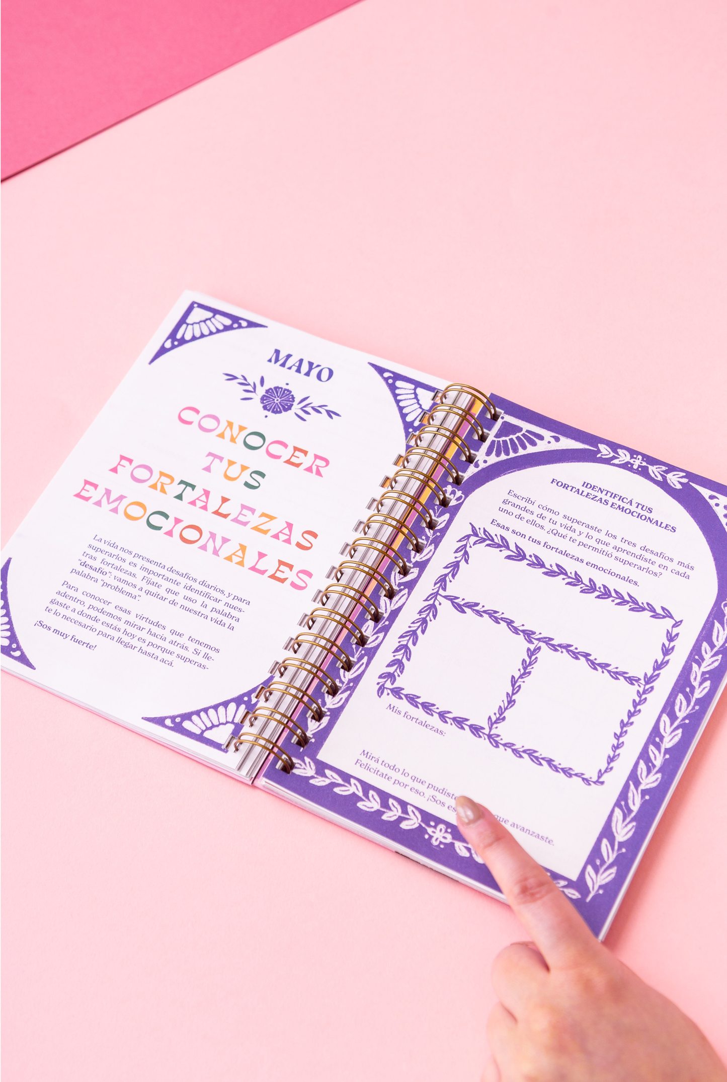 Agenda Abundancia, de Naty Franz