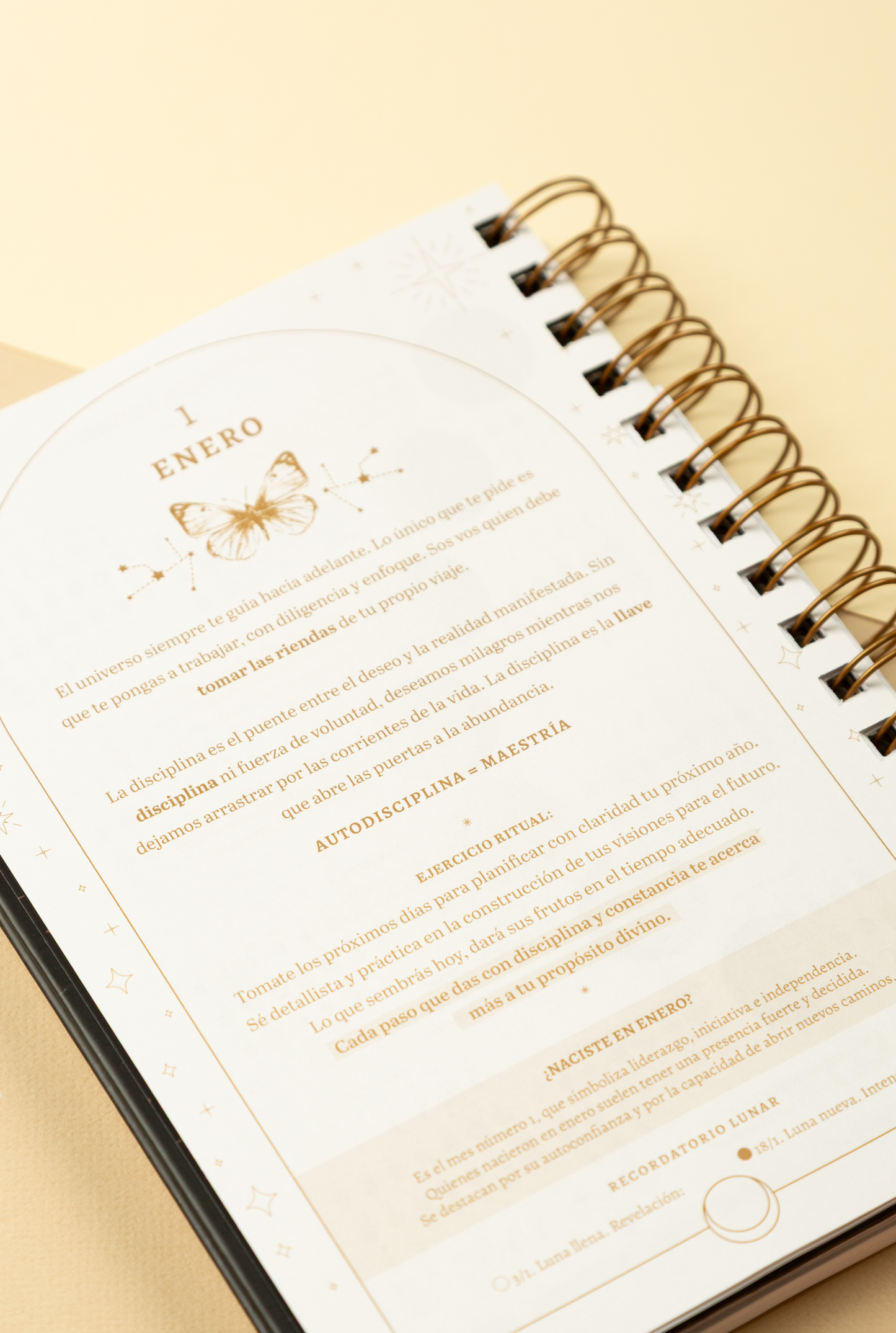 Agenda Stellium Mariposa