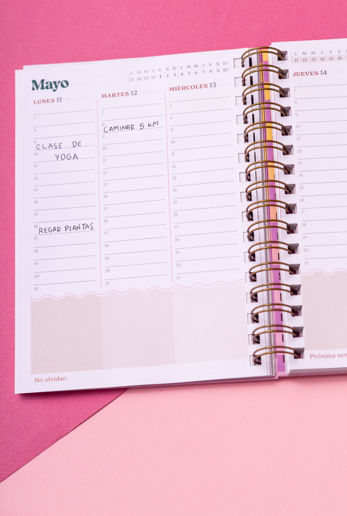 Agenda Abundancia, de Naty Franz