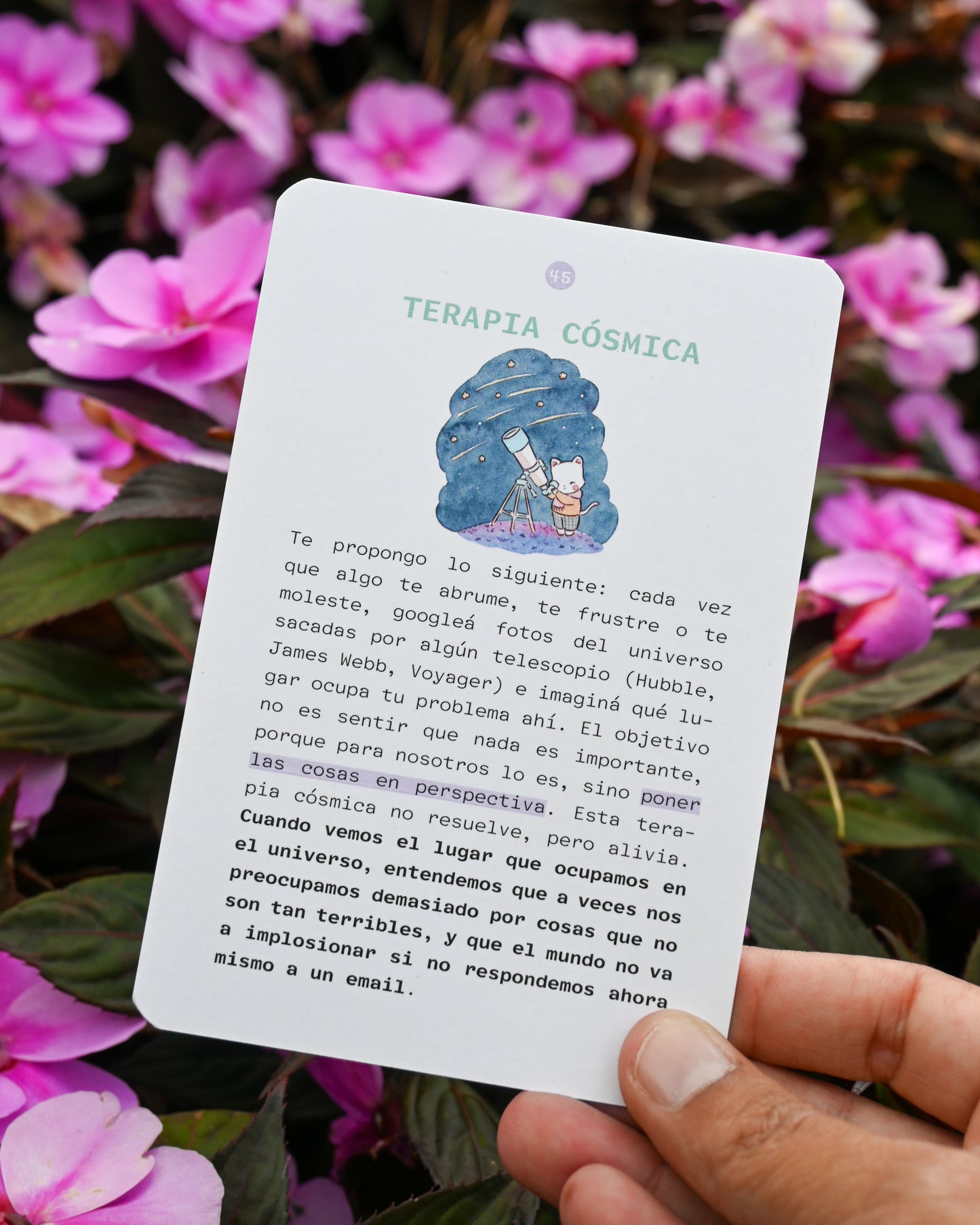 cartas crecimiento personal y astrología para el día a día tienda esotérica