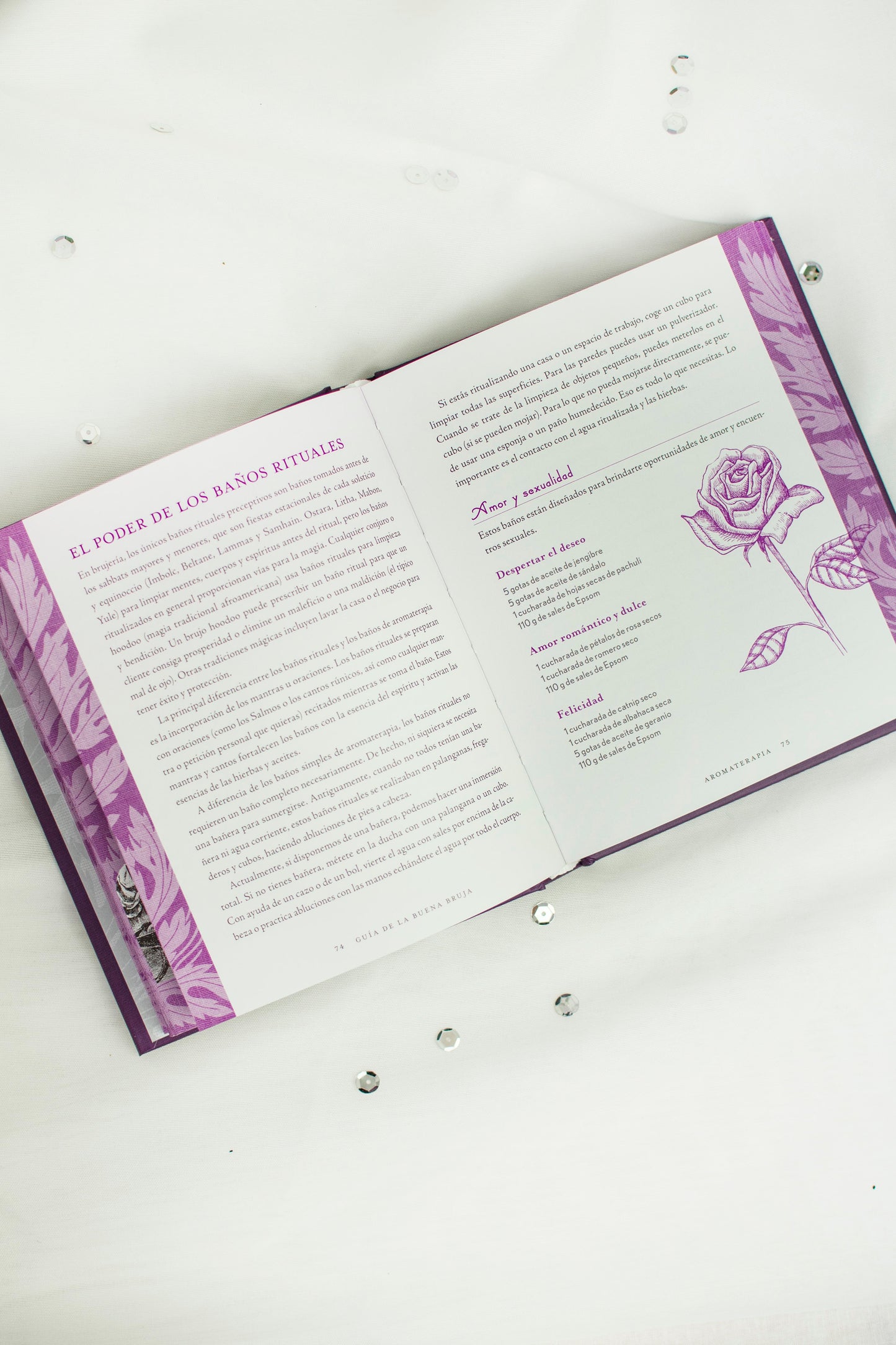 Guía de la Buena Bruja