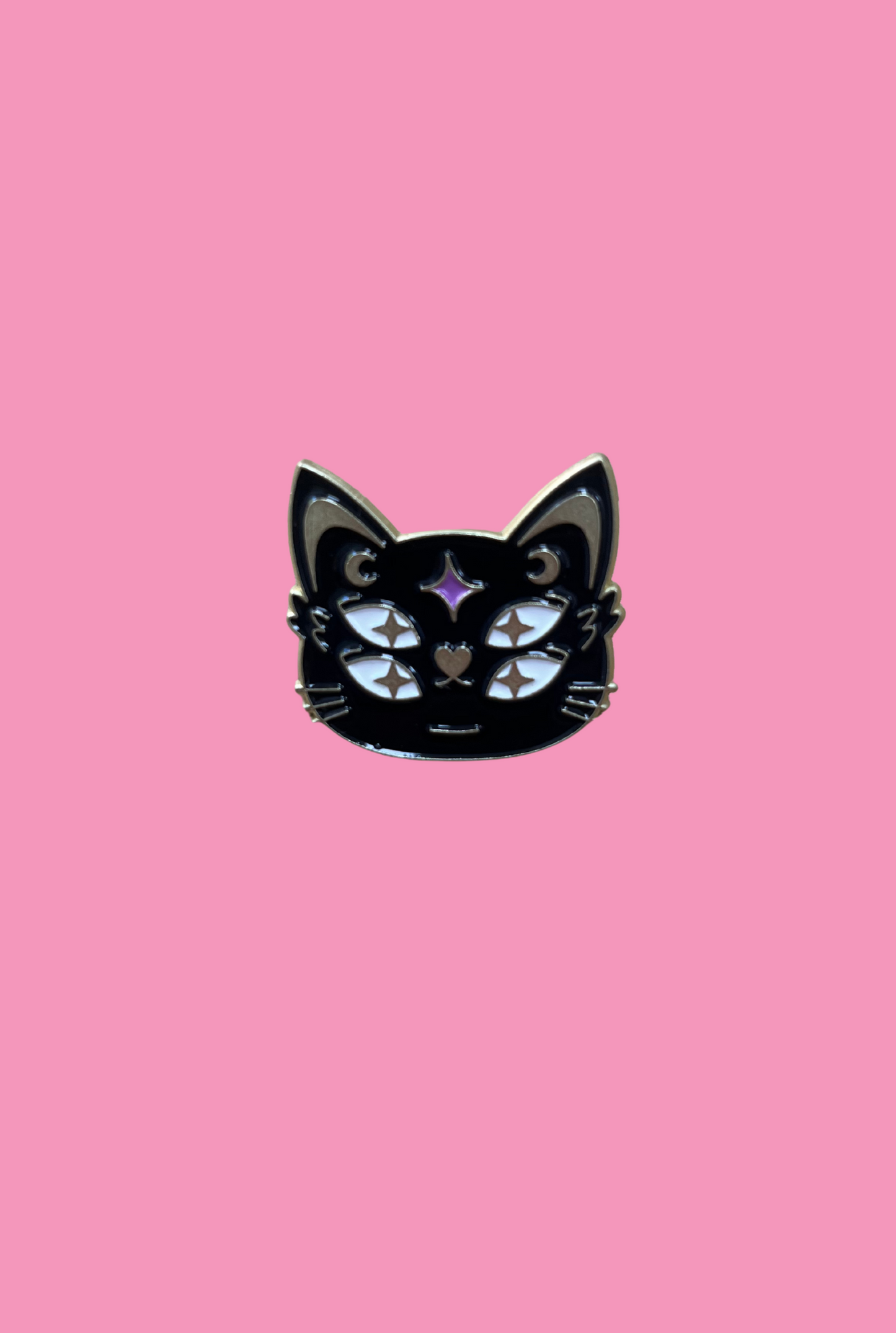 Pin Gato Negro
