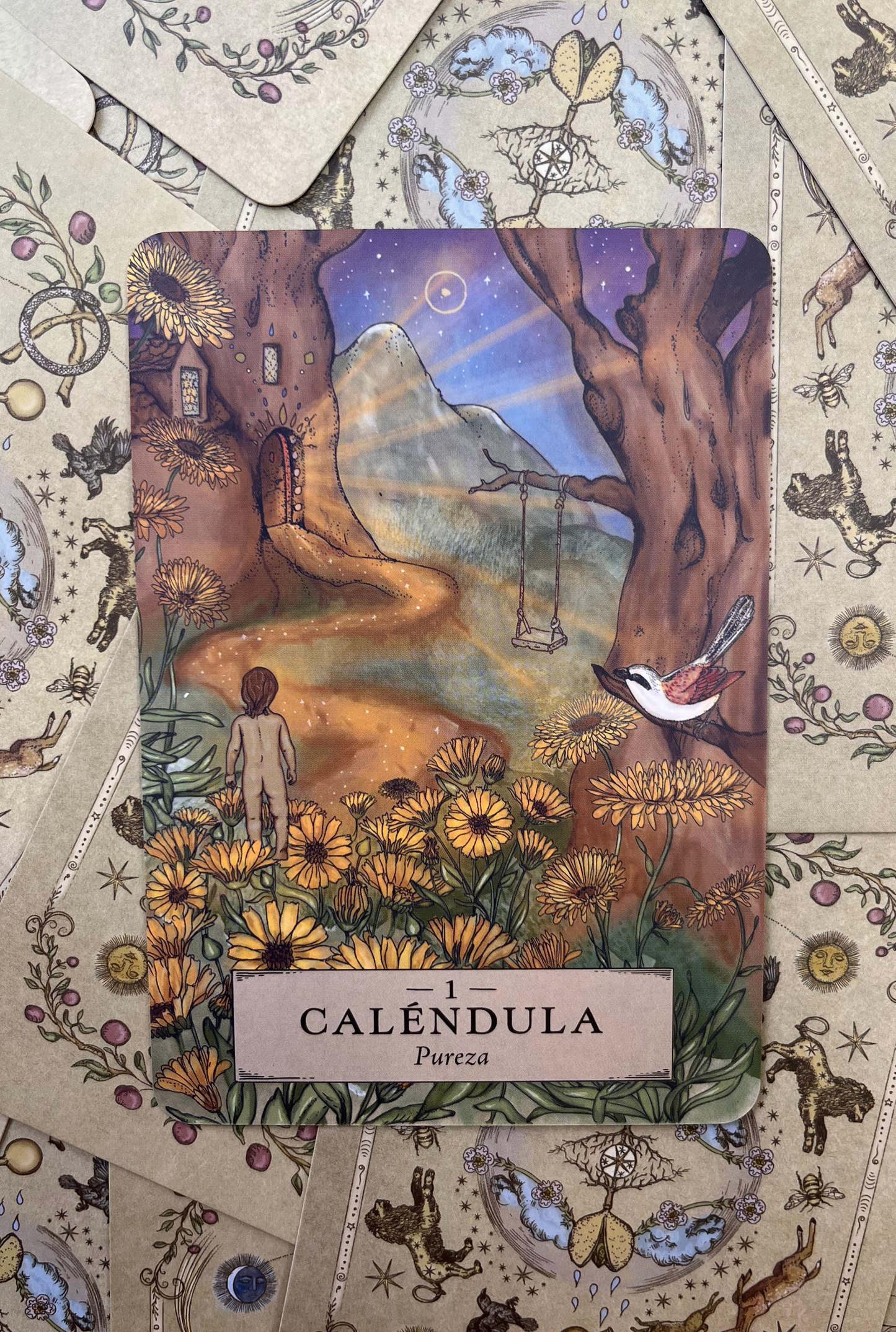 Astrología Herbal Oráculo