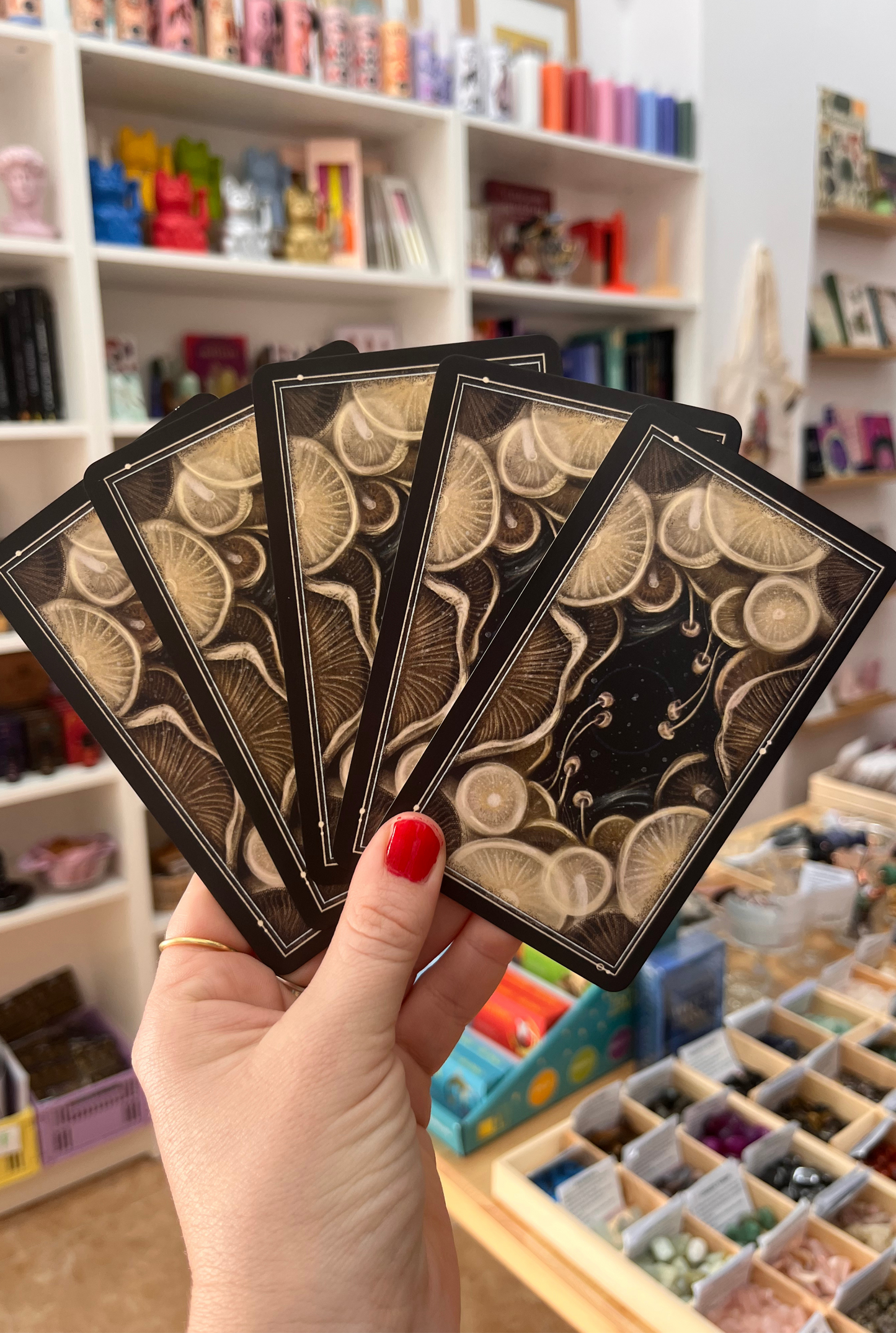 Midnight Magic: A Tarot Deck of Mushrooms