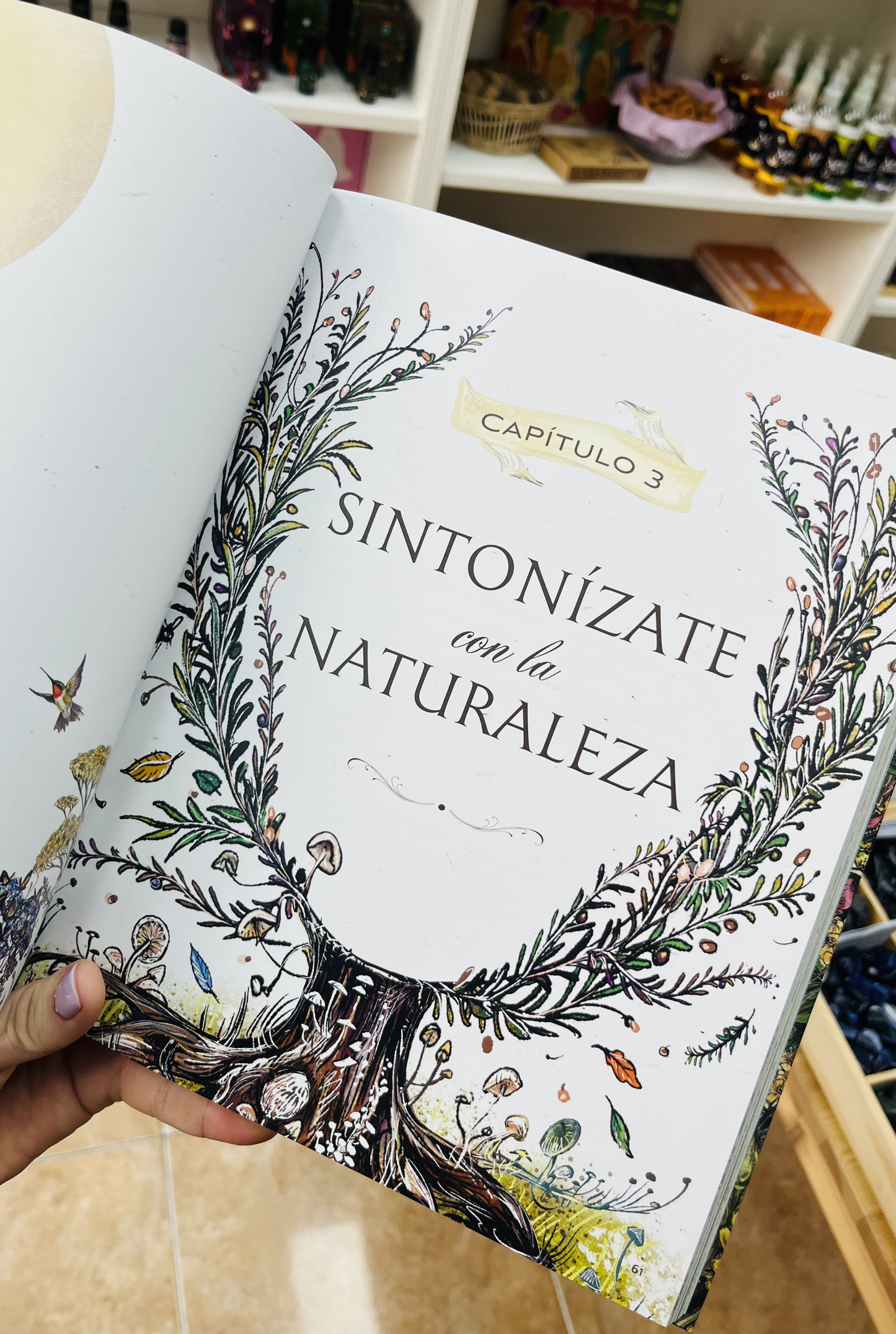 La Bruja Verde, libro ilustrado