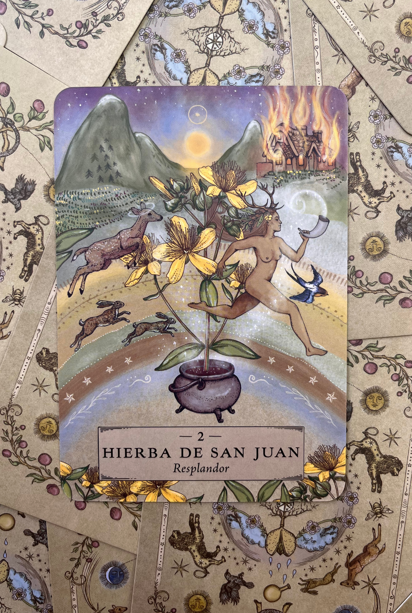Astrología Herbal Oráculo