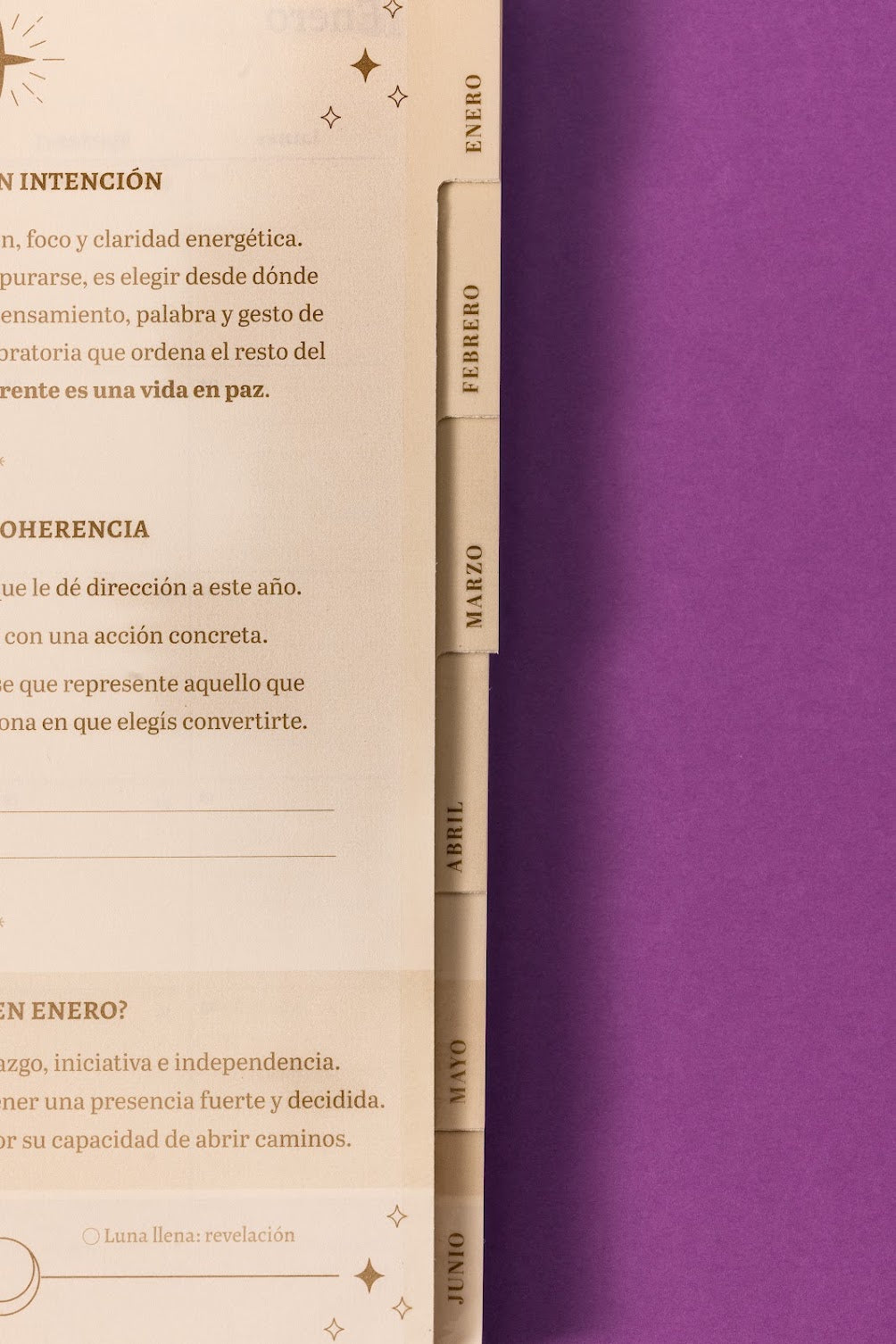 Agenda 2027 Stellium Flor de loto