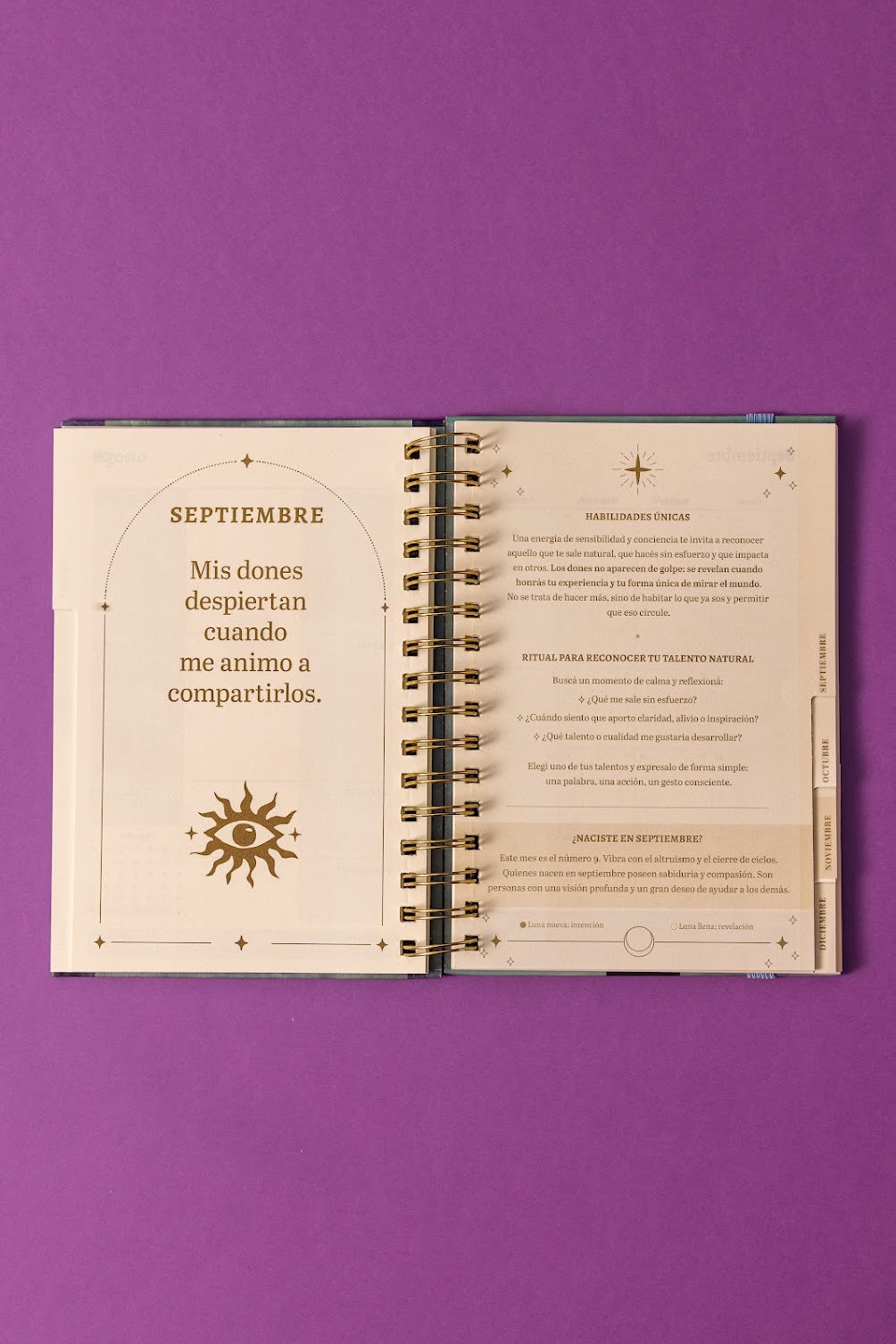 Agenda 2027 Stellium Flor de loto