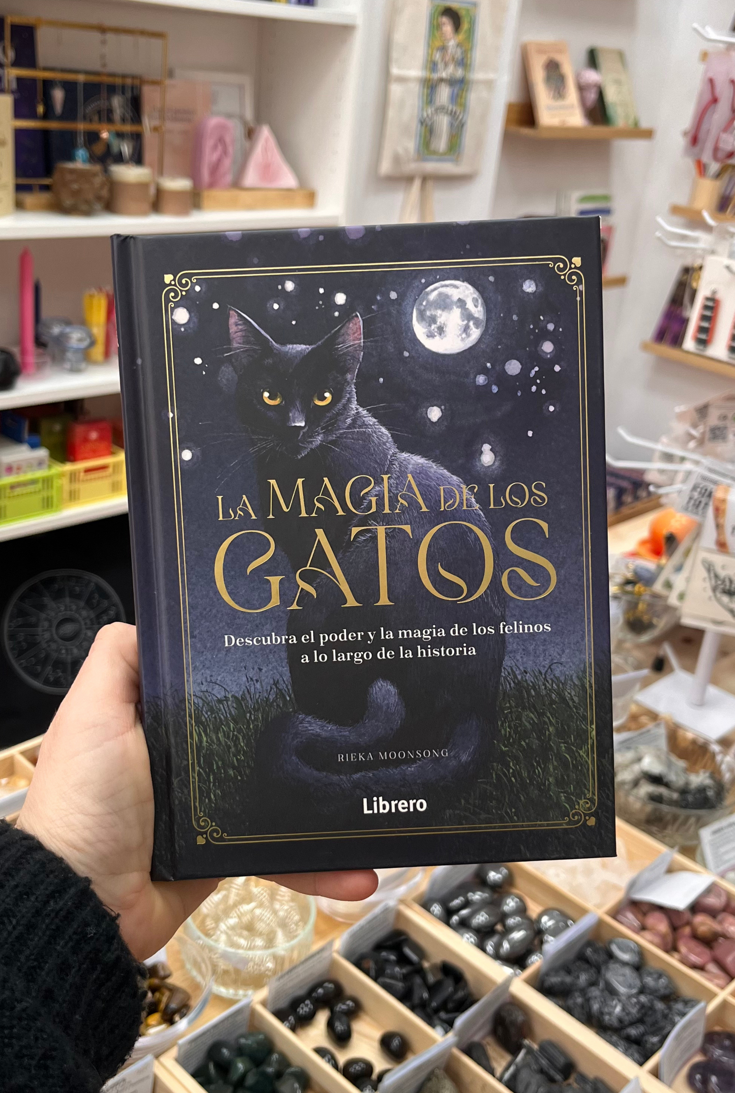 La Magia de los Gatos